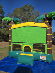 20241222 112745 1738357868.jpg Tropical Bounce House